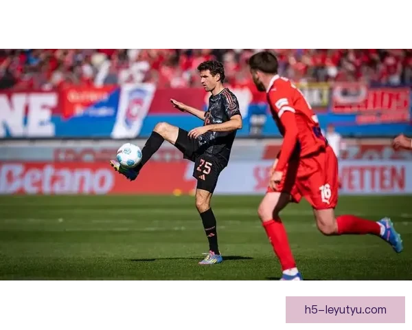 海登海姆能否延续德甲不败记录