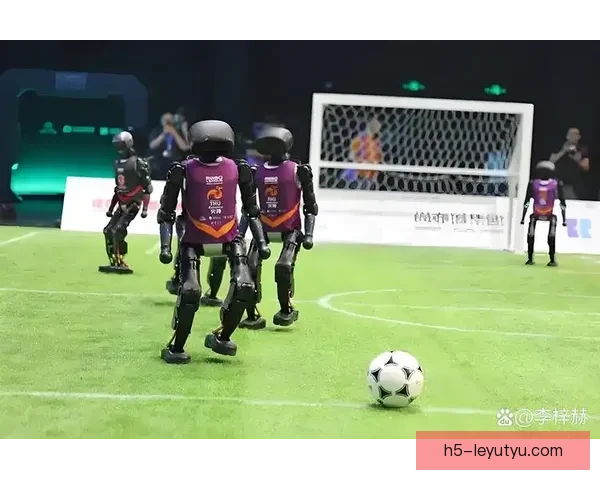 在绿茵场上追寻心流答案之方向 在绿茵场上追寻心流答案之方向